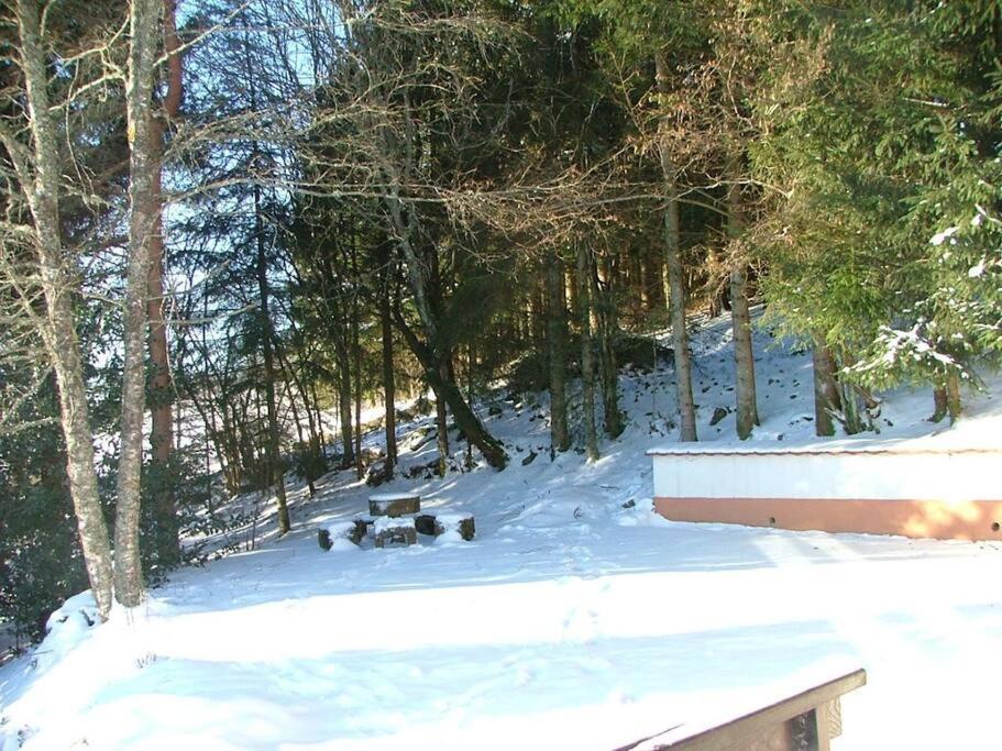 Maison D'Altitude Avec Vue Panoramique A Gérardmer Eksteriør billede