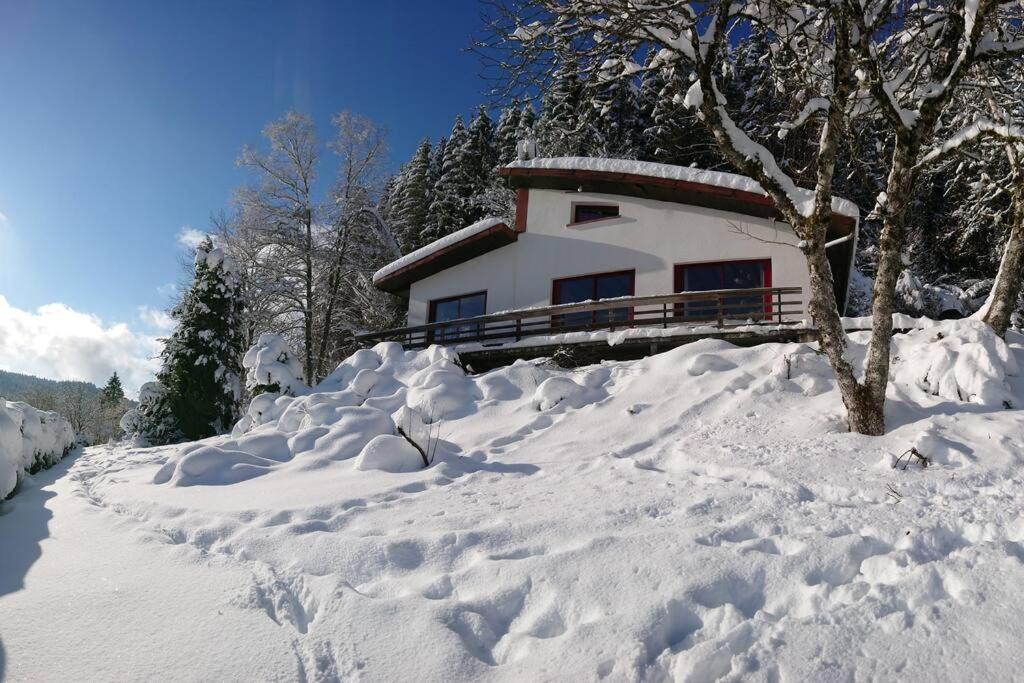 Maison D'Altitude Avec Vue Panoramique A Gérardmer Eksteriør billede