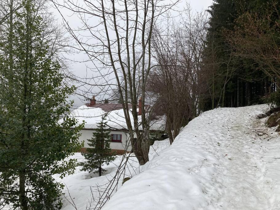 Maison D'Altitude Avec Vue Panoramique A Gérardmer Eksteriør billede