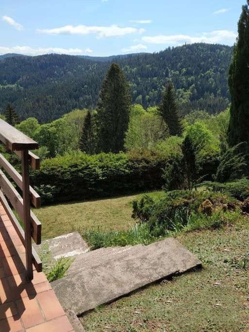 Maison D'Altitude Avec Vue Panoramique A Gérardmer Eksteriør billede