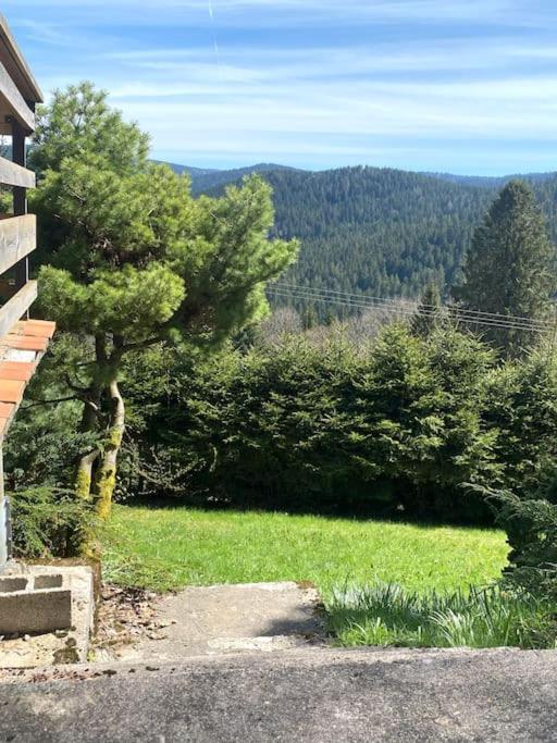 Maison D'Altitude Avec Vue Panoramique A Gérardmer Eksteriør billede